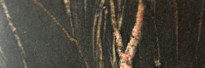 N Belvedere `Gold Vein` (Angola)