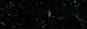 N Lundhs Emerald_Labrador Emerald Pearl (Norwegen)