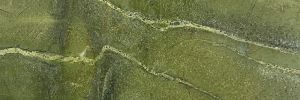 N Avocatus (Brasilien)